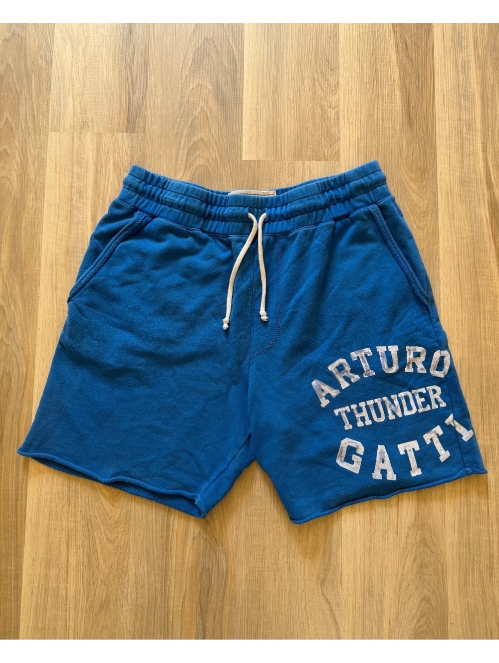 Vintage 2000's Roots of Fight Boxing Shorts